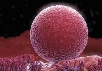 卵泡发育不好的怎么才能快速怀孕,卵泡发育不好如何增强卵泡质量