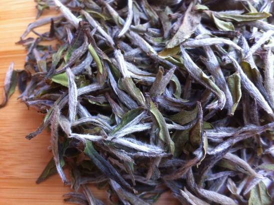 帮你冲走过年吃的所有罪恶感,快看过来