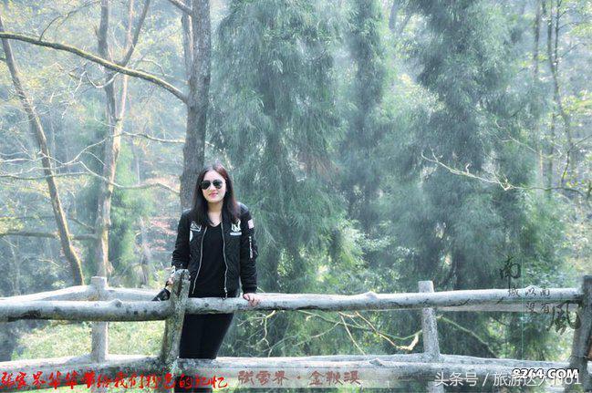 张家界国家森林公园旅游攻略,张家界品质游旅行社旅游攻略