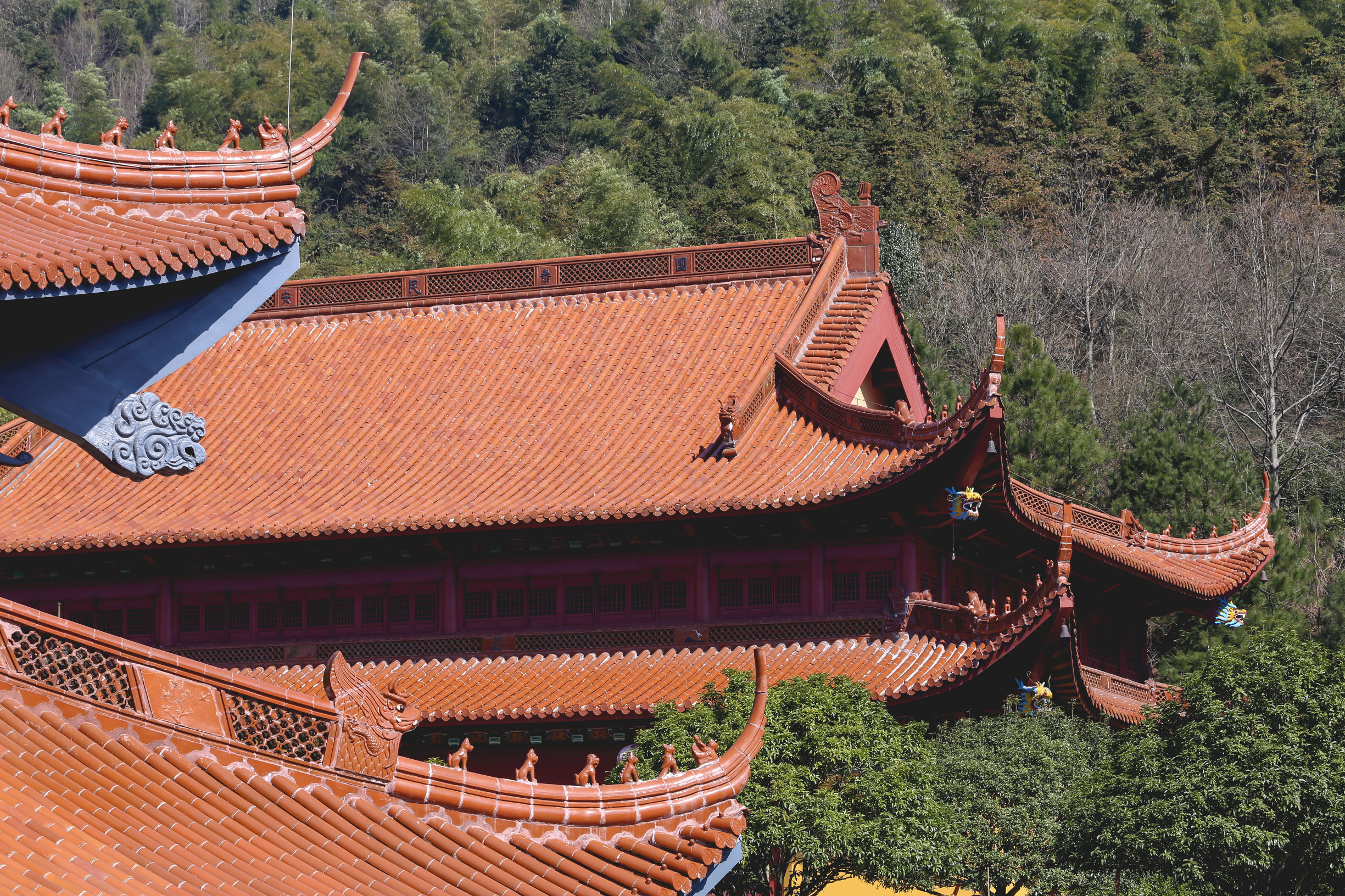 香港香火最旺的黄大仙庙,香港黄大仙庙为什么香火鼎盛