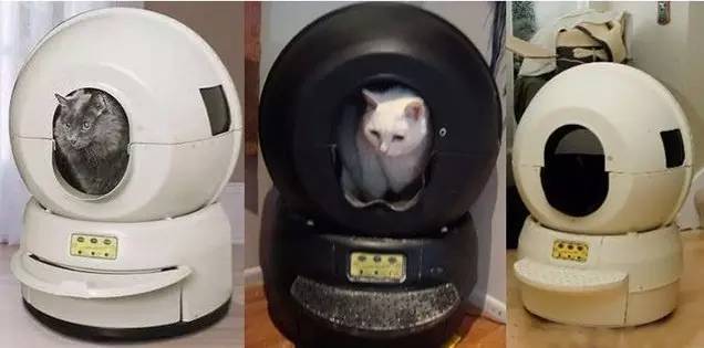 粗大事啦！铲屎界变天啦！