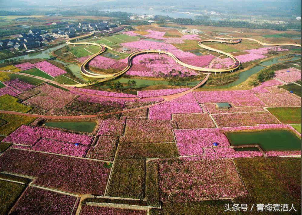 江苏一个四线城市,被誉为地球上的“生命圣地”