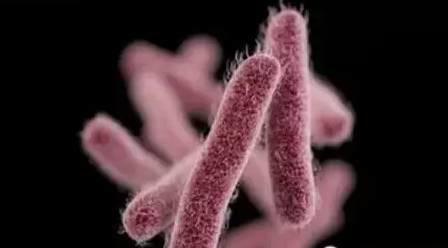 韩国化妆品曝光黑榜,化妆品面膜不合格名单