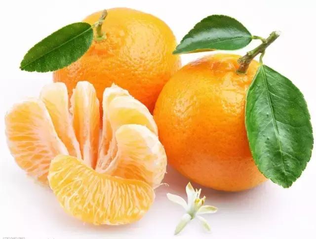 什么是当季蔬菜水果,什么是当季水果