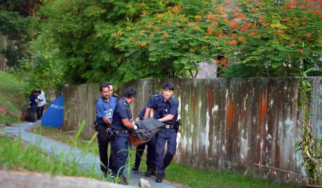 又倒了！那些年新加坡倒掉的大树，和它伤过的人