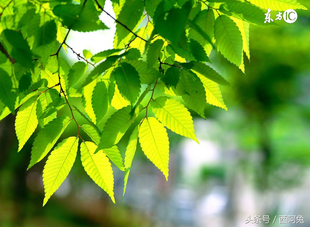 十二星座星盘抑郁症,十二星座抑郁症排名榜