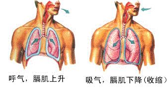 字里藏医全文及解释,字里藏医中医知识