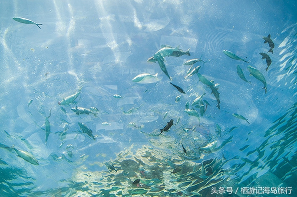 马尔代夫康莱德伦格里岛,马尔代夫伦格里岛