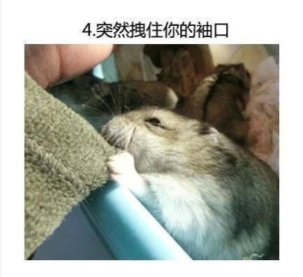 男子买错机票班次改签,男子误抢特价机票后退票