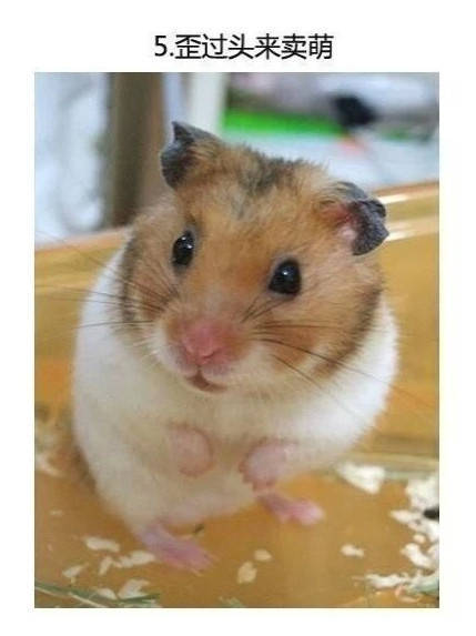 男子买错机票班次改签,男子误抢特价机票后退票