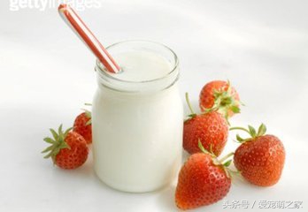 成年小型犬可以喝牛奶吗,宠物狗喝纯牛奶会怎么样