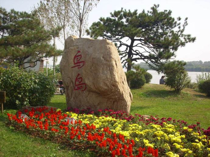 沈阳鸟岛视频,沈阳都有啥桥