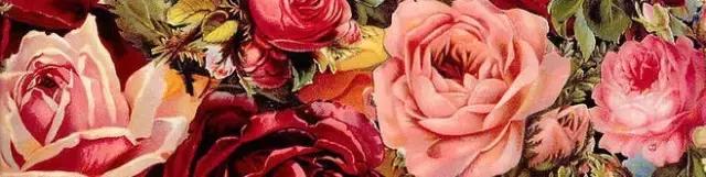 玫瑰控｜想把所有护肤日用品都换成玫瑰香味的，宛若走在*瑰园玫**中