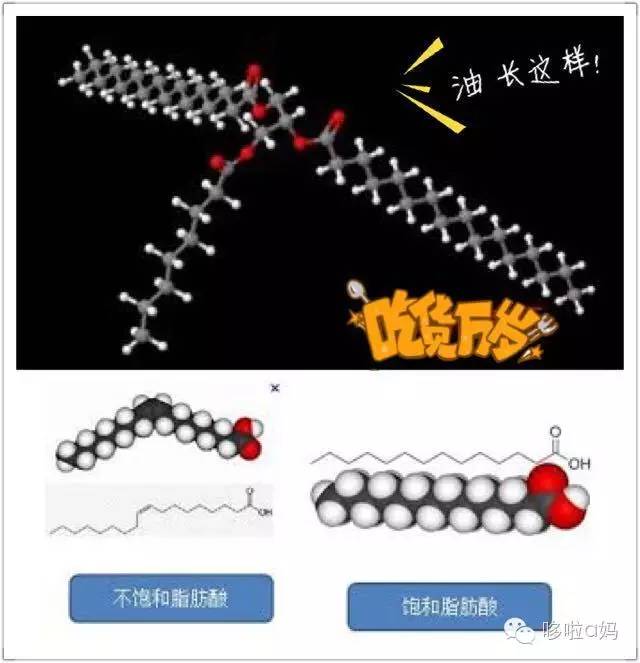 全家一起补营养,全家补充维生素吃哪种实惠