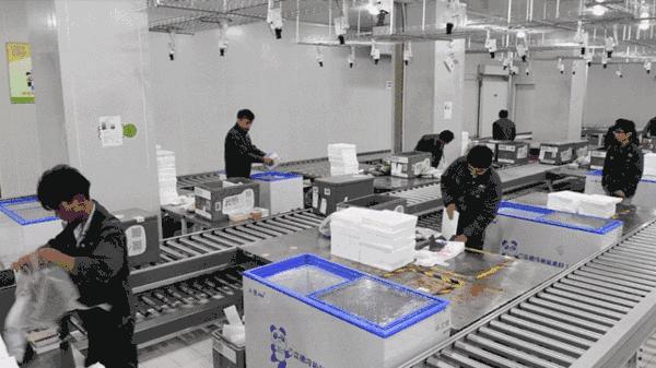 中央厨房亏损怎么办,中央厨房困境与出路