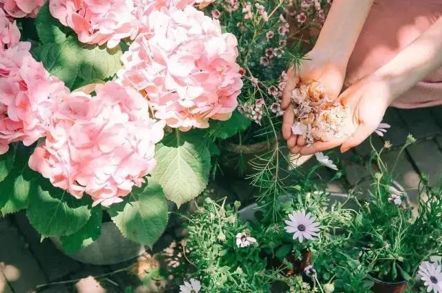 nars值得购买的单品,nars有什么单品值得买