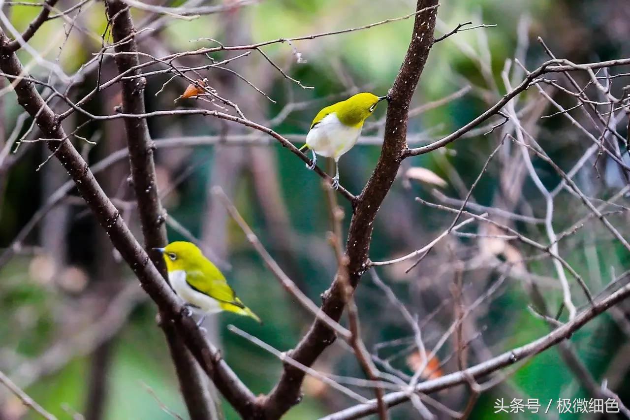 微信群发拜年祝福语怎么发,微信拜年群发