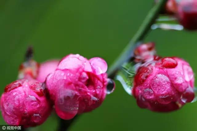 次新股的热点分析,德量解析