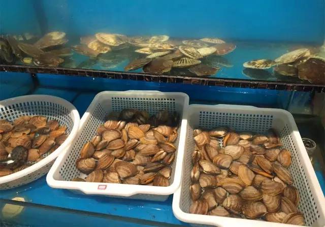 听着海浪声用餐,听着海浪吹着海风吃饭