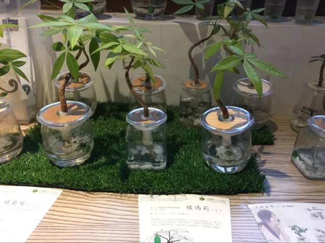 福州打卡老街,福州凹造型