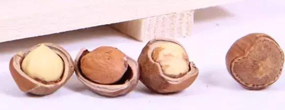 “榛”是屯里土生土长的“仁”