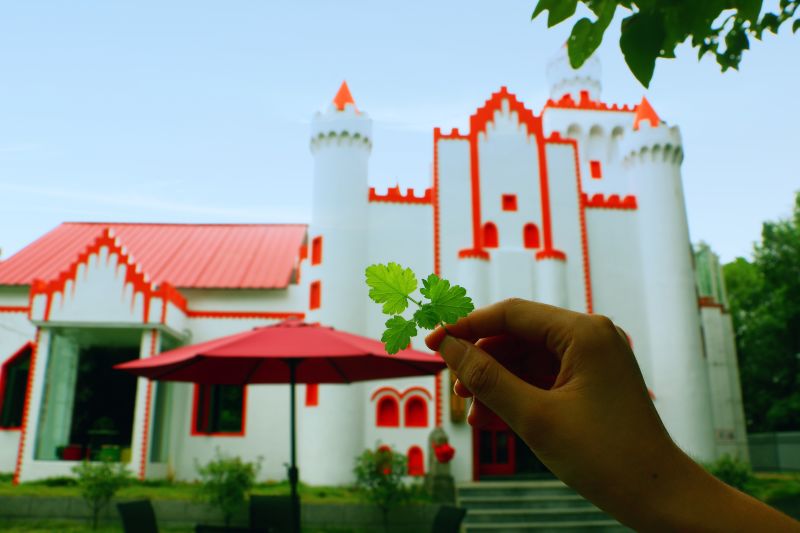 看看南宁人都在怎么玩？一阵别墅聚会的风在慢慢的吹向南宁