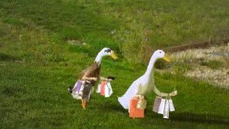 有什么好的海淘网站推荐,十大打折海淘网站推荐