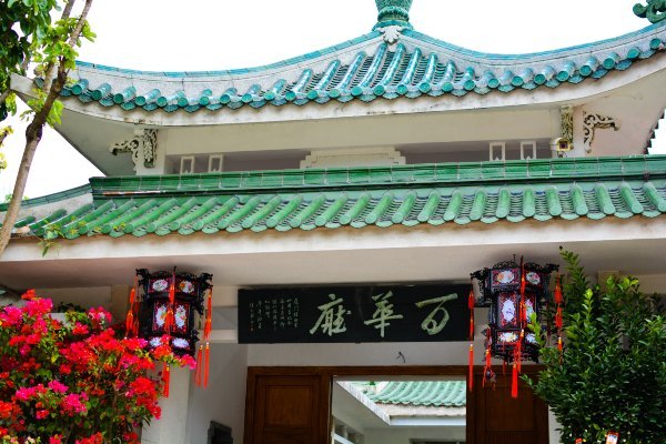 盆栽国色天香,国色天香立春