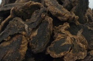 参有哪些种类各有啥不同,常见参的种类及图片