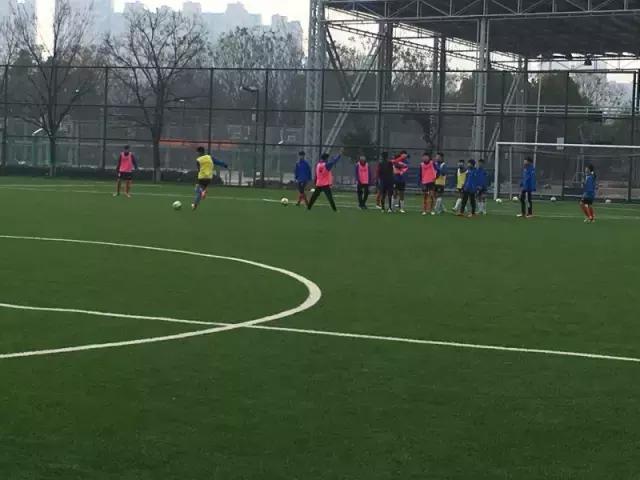 u14锦标赛,u14冠军赛赛程