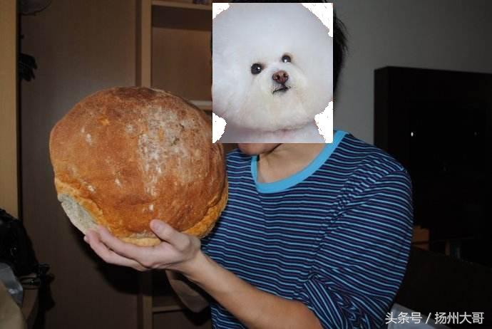 俄罗斯大列巴的酸味,俄罗斯大列巴好吃有嚼劲