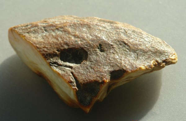 蜜蜡琥珀和老蜜蜡琥珀有什么区别,什么是蜜蜡琥珀的形成