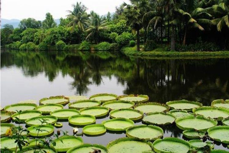 行走西双版纳旅行社,行走西双版纳合集