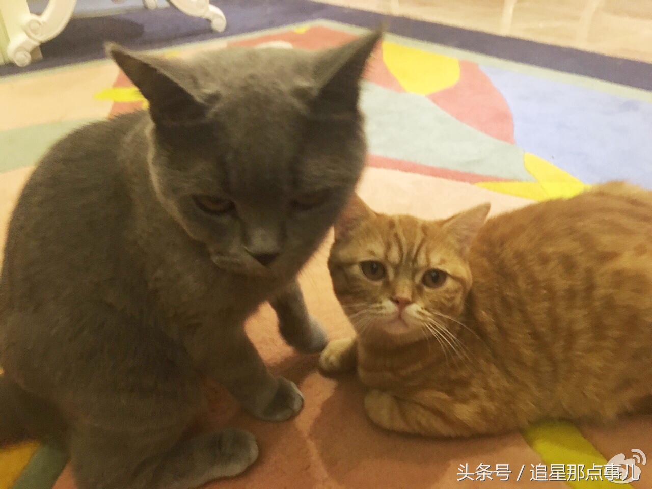 鹿晗胡歌吴磊,鹿晗胡歌葫芦娃