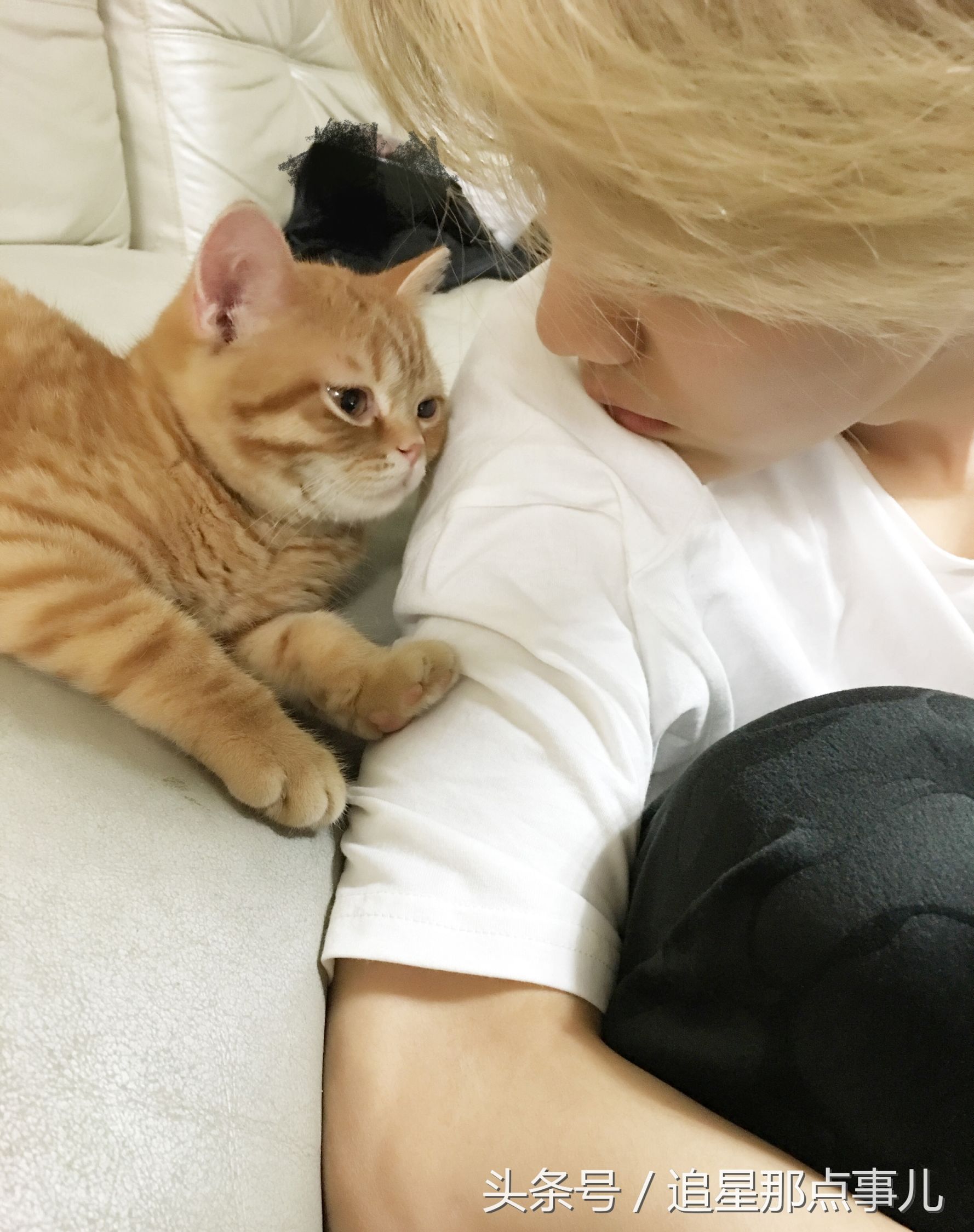 鹿晗胡歌吴磊,鹿晗胡歌葫芦娃