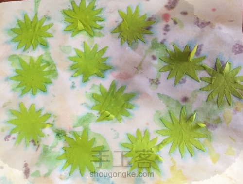 荞葭烫花-玛格丽特