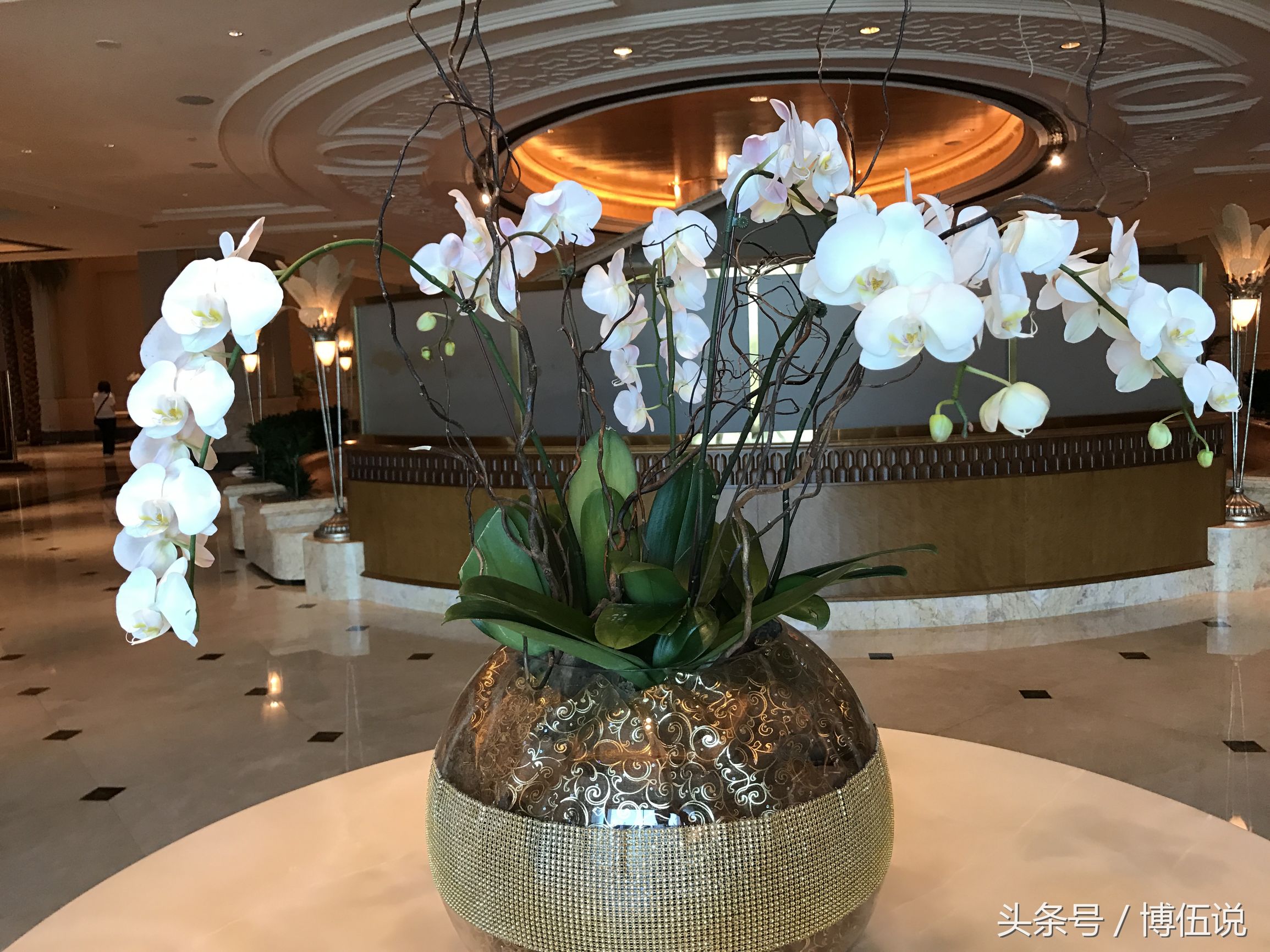 迪拜的这些趣事你都知道吗,迪拜你不知道的事儿