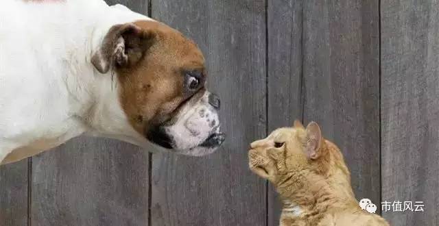 A股又出经典案例:违规增持股票的股东权利到底有效无效?