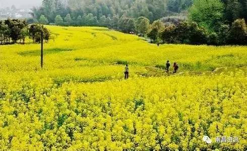 南昌出发最便宜的飞机票,南昌出发到哪里的机票最便宜