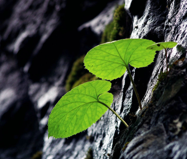 医院门诊管理的主要内容,医院门诊制度标准
