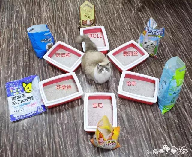 膨润土混合猫砂推荐排行榜,15-25的膨润土猫砂测评推荐