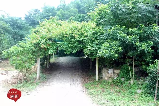 潮州好玩的农庄推荐,2022年潮州哪个农庄好玩