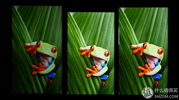 vivoxplay6内外屏是一体的吗,vivoxplay6曲面屏参数