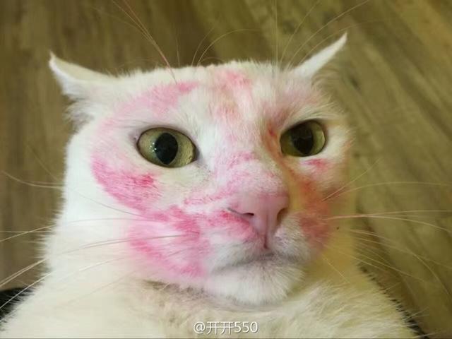 小同志，我要知道你这么傻我就应该多骗你钱了