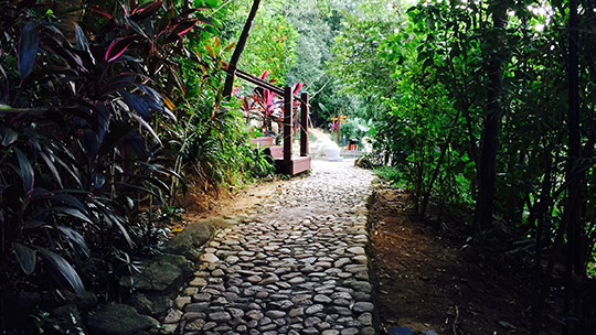 去保亭七仙岭温泉带什么,七仙瑶池野溪温泉门票购买