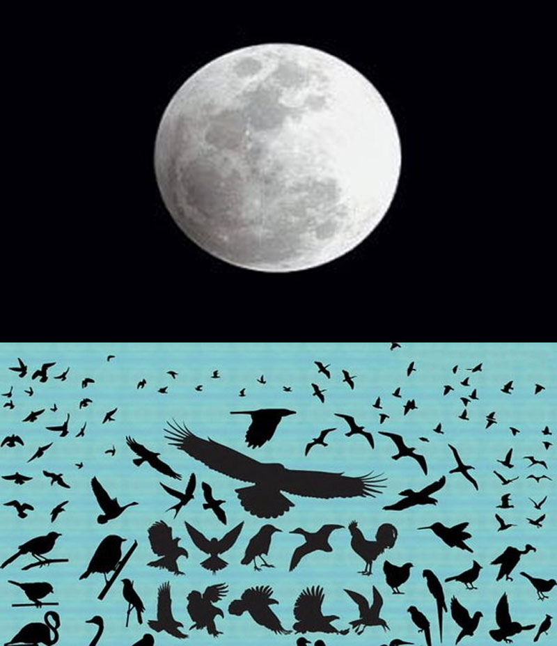 ps制作星空,ps制作星空照片