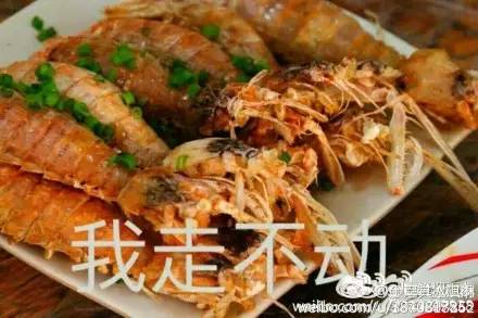 皮皮虾表情包所有图片,目前皮皮虾最火的表情包