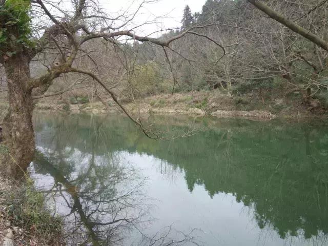 茶产业转型升级的意义,茶产业转型升级的建议