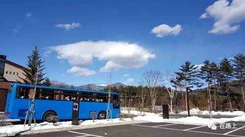 东京盛开的花,东京行走的画卷