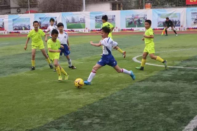 厦门青训足球联赛直播,青训厦门